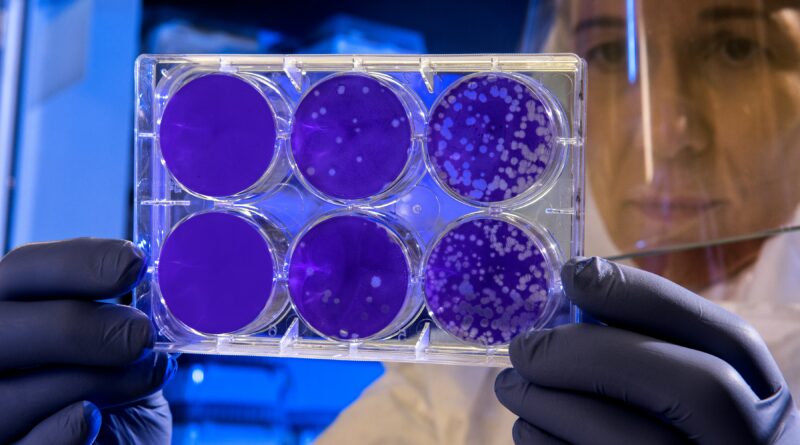 Nosopharm creuse une nouvelle piste d’antibiotique innovant