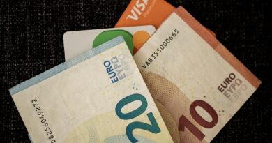 La hausse des salaires, moteur de la consommation La hausse des salaires, moteur de la consommation