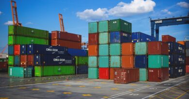Commerce extérieur : le déficit français repart à la hausse en mai