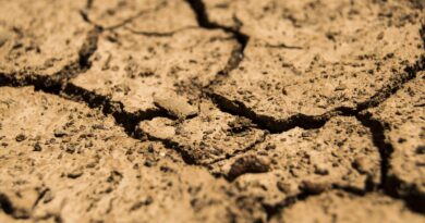 Sécheresse dans le Finistère : les habitants appelés à réduire fortement leur consommation d’eau Sécheresse dans le Finistère : les habitants appelés à réduire fortement leur consommation d’eau